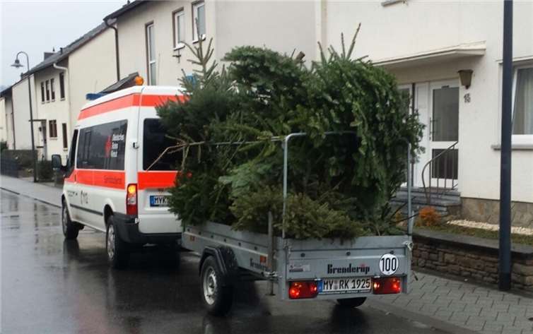 300 Bäume in zwei Stunden