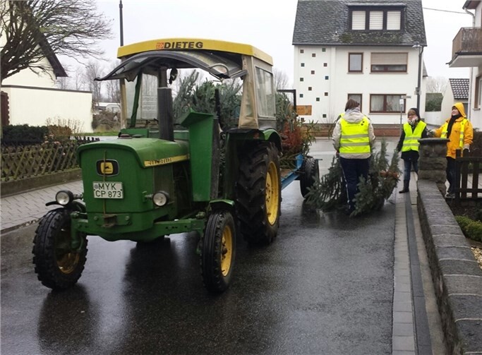 300 Bäume in zwei Stunden 