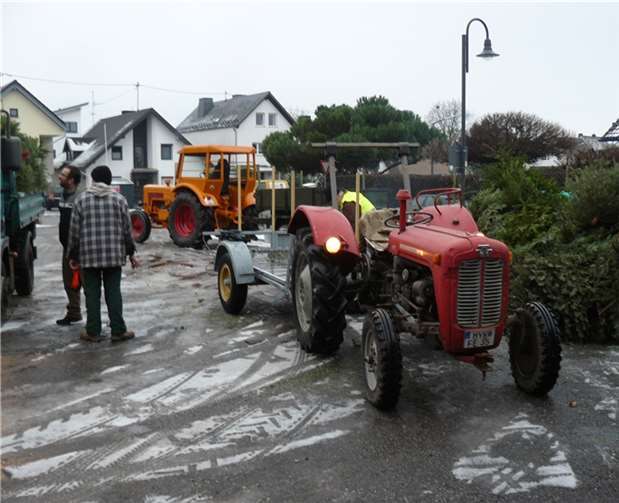 Weihnachtsbaumsammlung 2016 