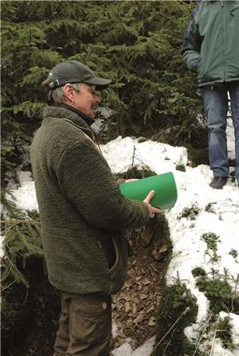Waldbegang mit dem Förster 