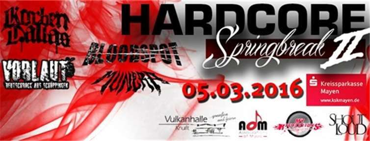 Vier Bands aus dem „harten“ Sektor 