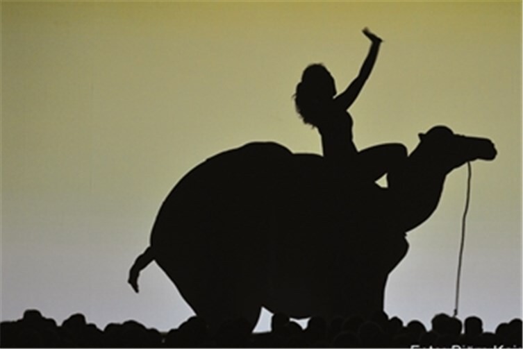 Lassen Sie sich entführen in das Land der Schatten! 