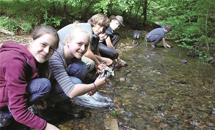 Mit Salamandern wandern
