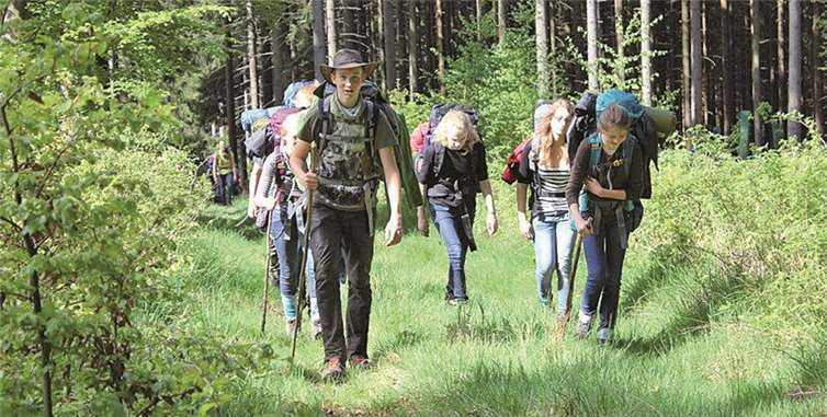 Mit Salamandern wandern 