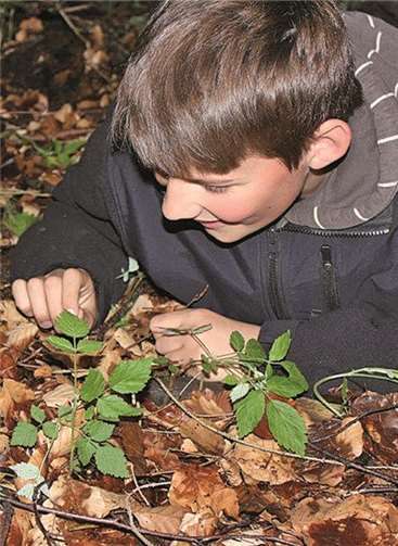 Mit Salamandern wandern 