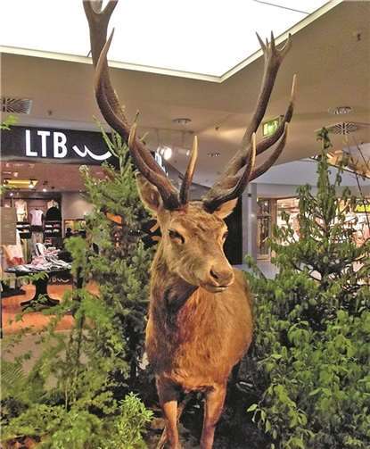 Es grünt so grün im Einkaufscenter