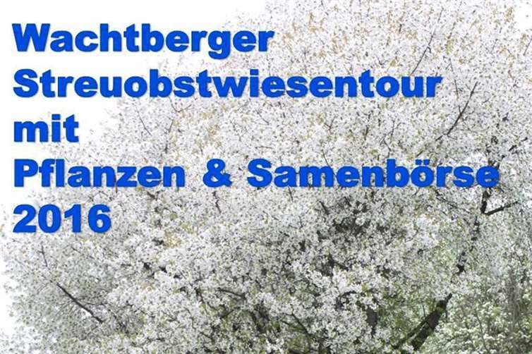 Streuobstwiesentour mit Pflanzen-/Samenbörse