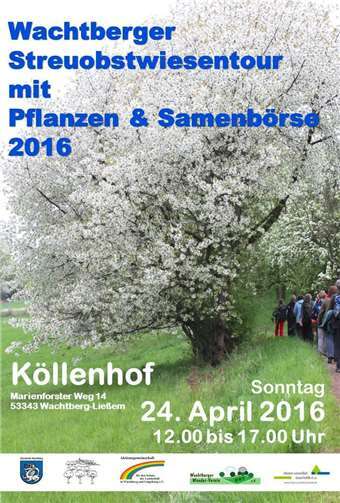 Durch Wachtbergs Blütenmeer