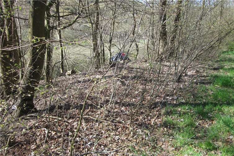 Fieser Drängler: Auto stürzt Hang hinab 