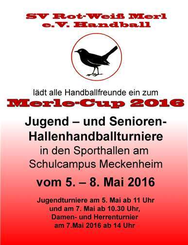 11. Merle Cup im Hallenhandball 