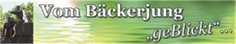 Videoüberwachung auf dem Friedhof ? 