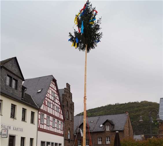 Den Maibaum im Regen sicher gestellt 