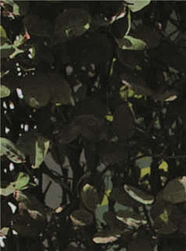 Zum ersten Mal machen Schüler der Realschule plus Untermosel ihr Fachabitur 