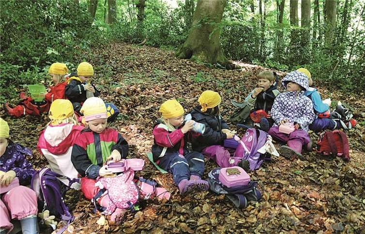 Igel Isidor, Eule Eusebia und Emil Eichhörnchen kennen gelernt 