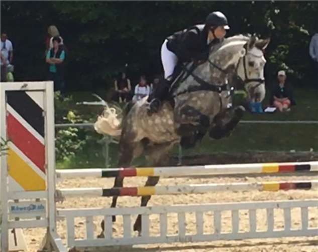 Exzellenter Reitsport begeisterte