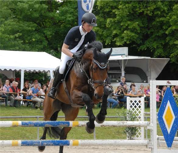 Exzellenter Reitsport begeisterte 