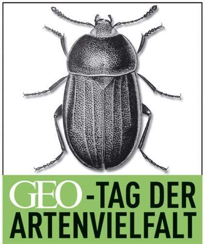 GEO-Tag der Artenvielfalt: Biotopvernetzung 