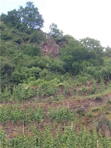 Vollsperrung der L98 nach Felsrutsch 