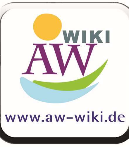 Ein Tornado wütete vor zehn Jahren in Brohl 