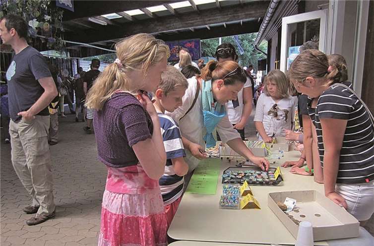Viel Fisch in Villip - Erfolgreicher Abschluss der Projekttage