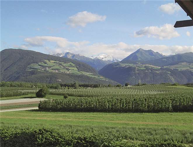 Um einige Erlebnisse reicher 