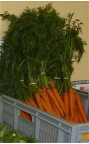 Ausgabe der Berechtigungsscheine für das IV. Quartal 