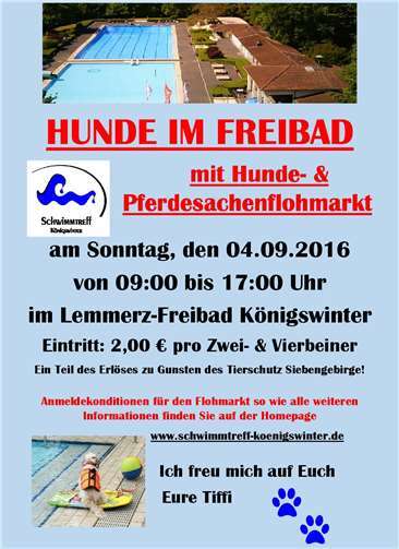 Event für Badegäste auf vier Pfoten 