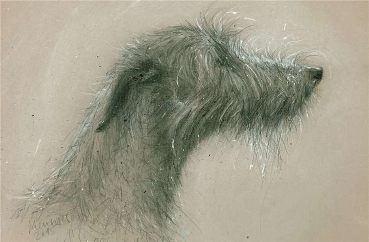 Musik und Kunst zum Erleben 