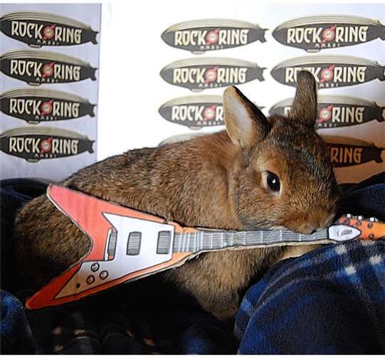 „So feierte die VG Mendig Rock am Ring 2016“ 