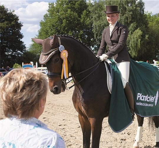 17 Springprüfungen und neun Dressurprüfungen standen auf dem Programm 