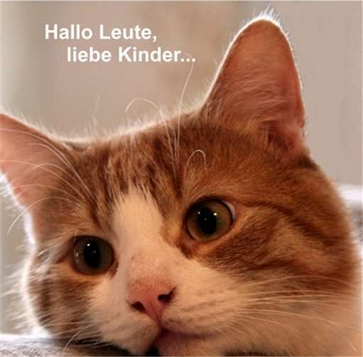 Bobby freut sich auf den Infostand 