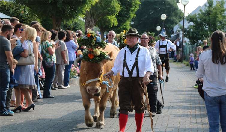 Legendärer Almabtrieb bei Kaiserwetter