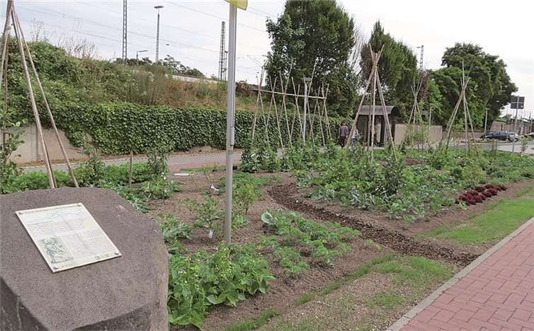 Essbare Grünflächen 