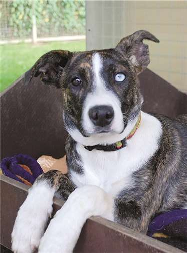 Rosi und Susi stellen „ihre Welt noch auf den Kopf“ 