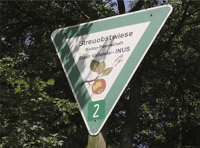 Frauenpower am Streuobsthang 