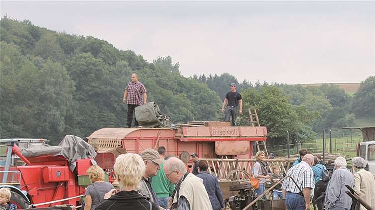 Buntes Spektakel rund um die Kartoffel 