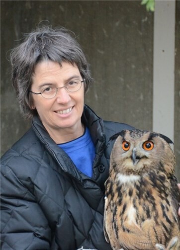 Vögel und Igel brauchen unsere Hilfe 