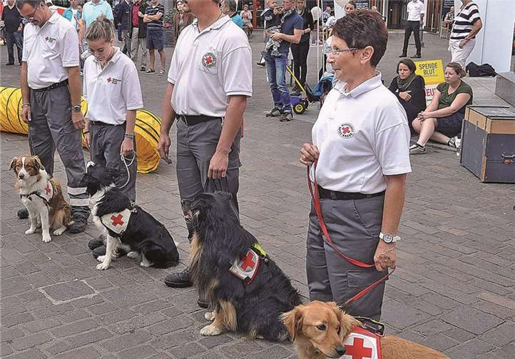 Idee des Helfens hat nichts von ihrer Kraft verloren 