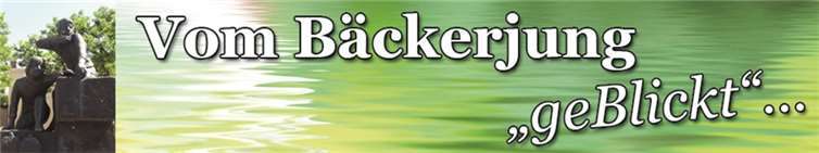 Die „(Wahl)Schlacht“ ist eröffnet 