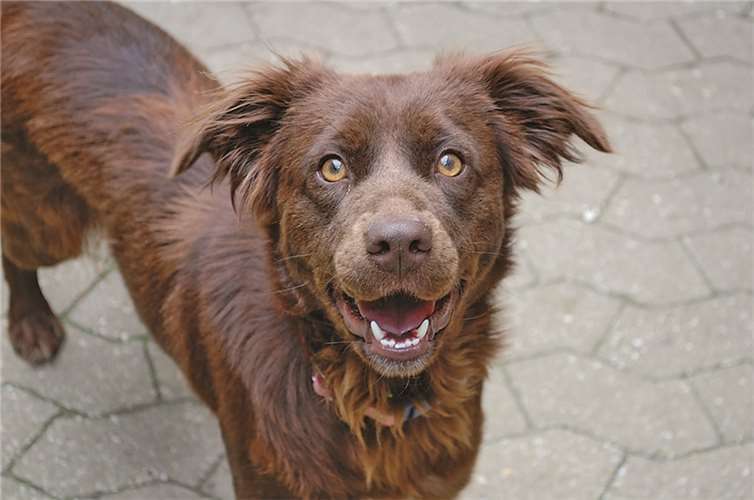 Tiere der Woche 