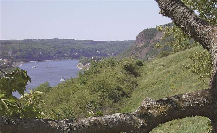 Traditionelle Rheinsteigwanderung 