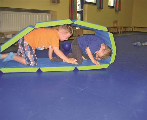 Karnevalsverein Niederwerth „Mir were nimmi goot“ denkt an die Kleinsten