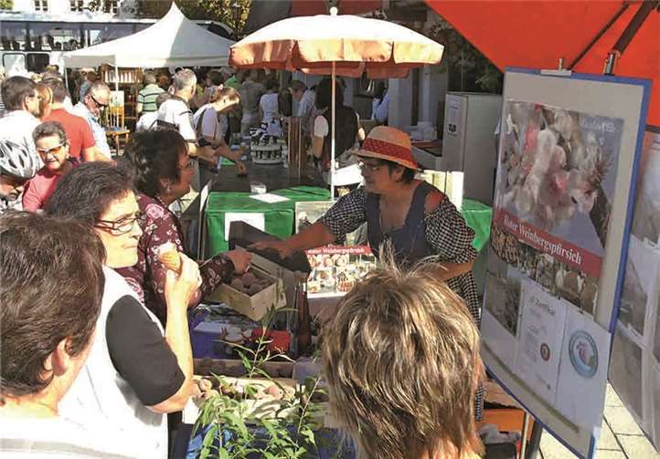 „Unscheinbare Früchtchen“ im Moseltal „Unscheinbare Früchtchen“ im Moseltal