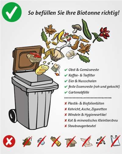 Sauberer Biomüll wird abgefahren – Verunreinigter bleibt stehen 