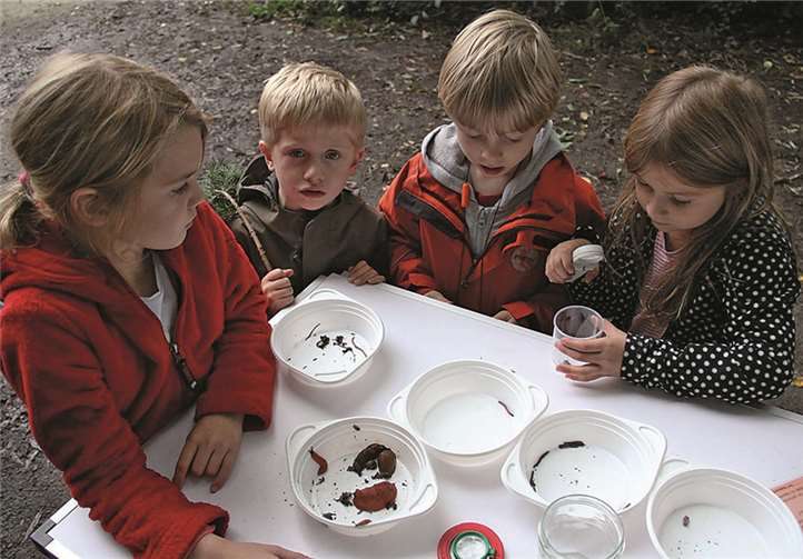 „Schneckenjagd“ am Schau ins Land 