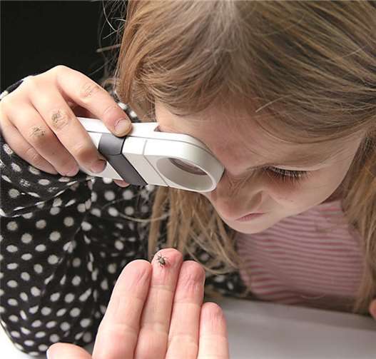 „Schneckenjagd“ am Schau ins Land 