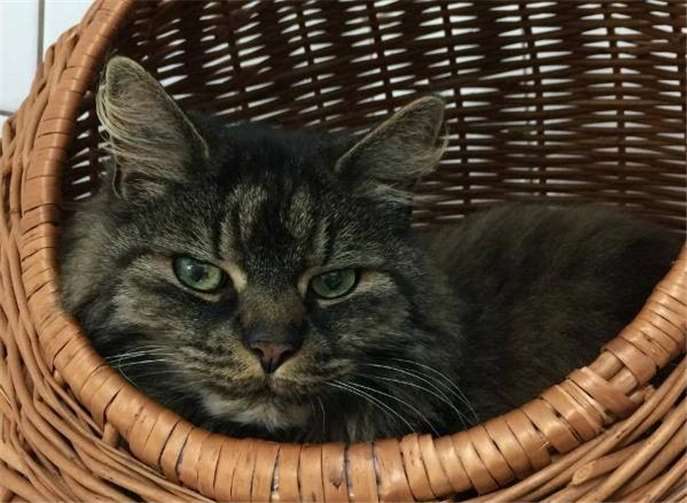 Niel, ein Freund fürs Leben 