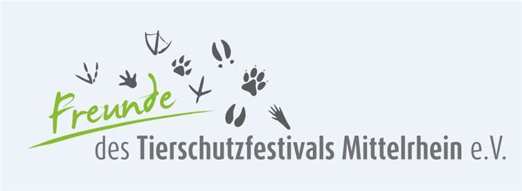 „Wir suchen deine Geschichte“