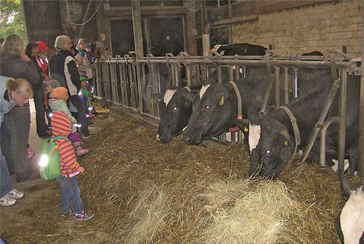 Besuch auf dem Bauernhof der Familie Karbaum 