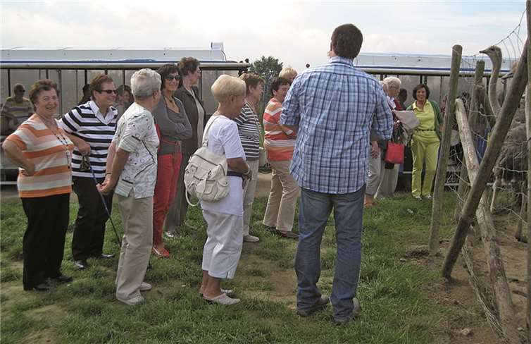 Interessanter Ausflug zur Straußenfarm 